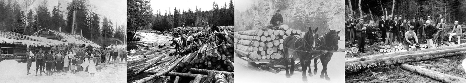 Historical images of forest operations