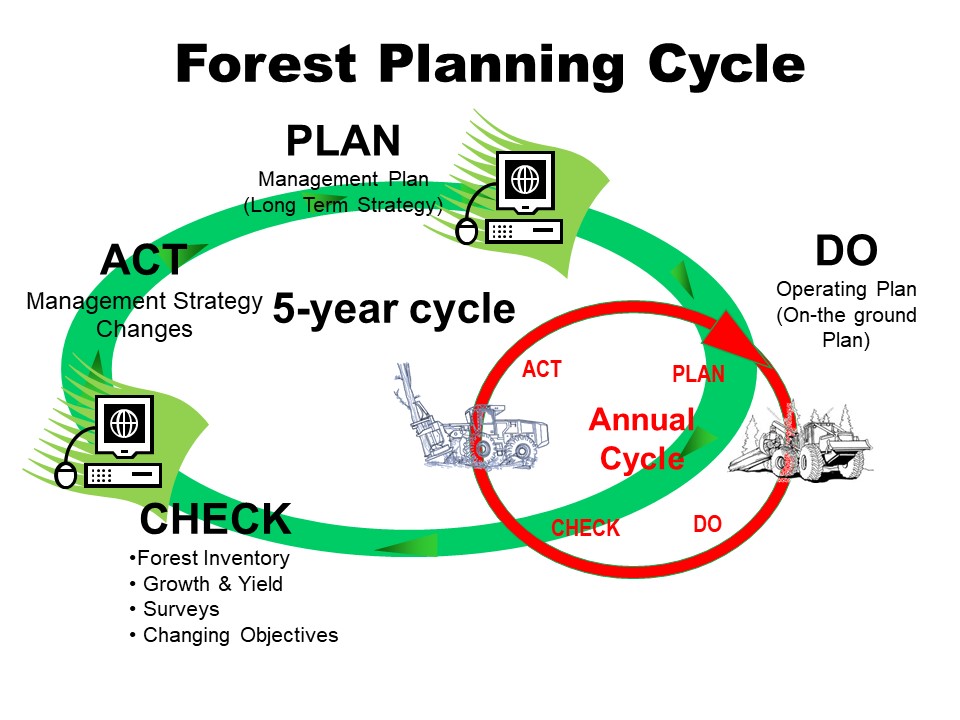 Forest Planning Cycle